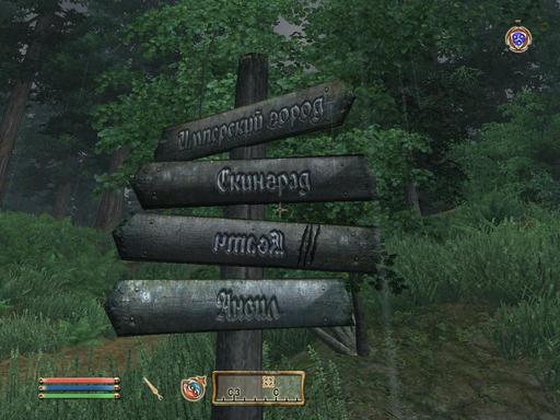 Elder Scrolls IV: Oblivion, The - Дневник имперского гастарбайтера. Том второй.